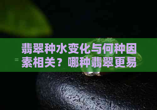 翡翠种水变化与何种因素相关？哪种翡翠更易出现色变现象？