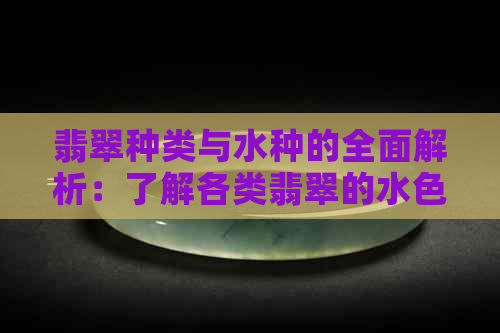 翡翠种类与水种的全面解析：了解各类翡翠的水色特点和价值