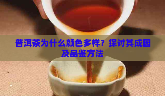 普洱茶为什么颜色多样？探讨其成因及品鉴方法