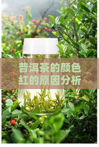 普洱茶的颜色红的原因分析：探究深度与品质的关联