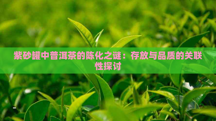 紫砂罐中普洱茶的陈化之谜：存放与品质的关联性探讨