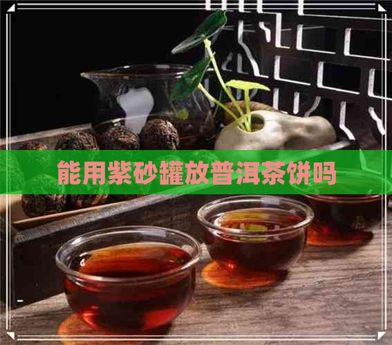 能用紫砂罐放普洱茶饼吗