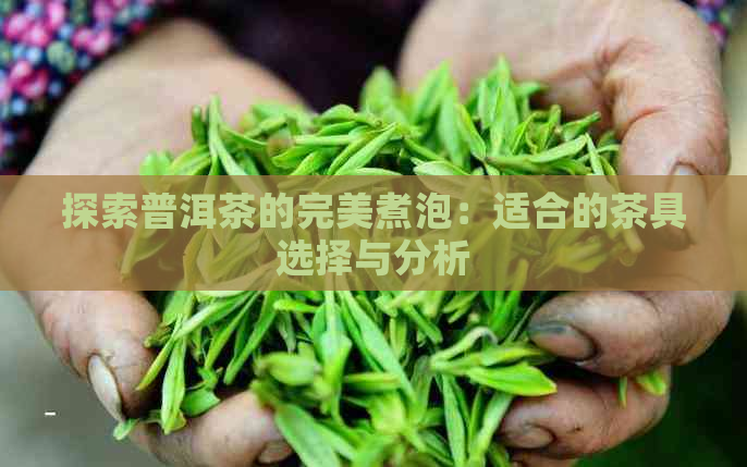 探索普洱茶的完美煮泡：适合的茶具选择与分析