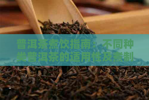 普洱茶煮饮指南：不同种类普洱茶的适用性及煮制方法全面解析