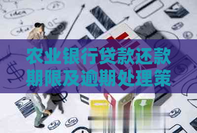 农业银行贷款还款期限及逾期处理策略分析