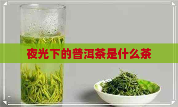 夜光下的普洱茶是什么茶