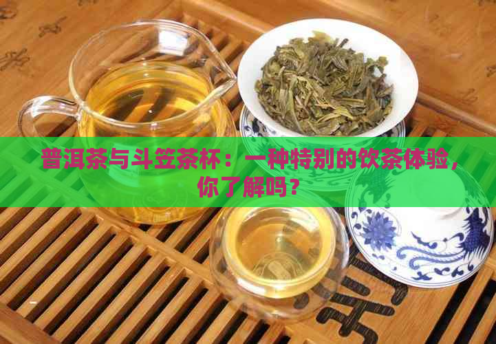 普洱茶与斗笠茶杯：一种特别的饮茶体验，你了解吗？