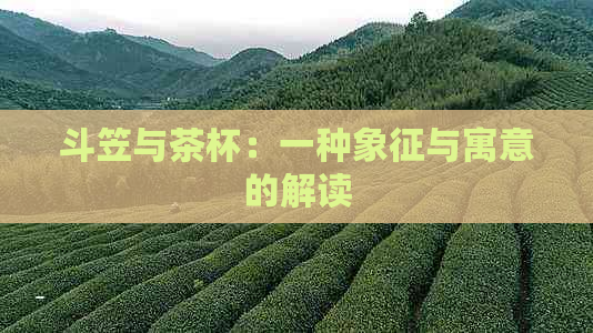 斗笠与茶杯：一种象征与寓意的解读