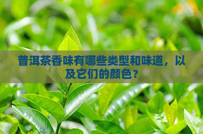 普洱茶香味有哪些类型和味道，以及它们的颜色？