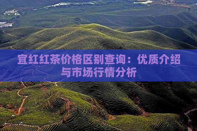 宜红红茶价格区别查询：优质介绍与市场行情分析