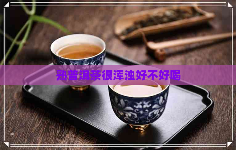 熟普洱茶很浑浊好不好喝