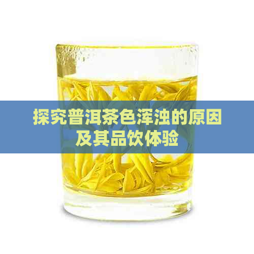 探究普洱茶色浑浊的原因及其品饮体验