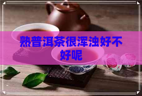 熟普洱茶很浑浊好不好呢