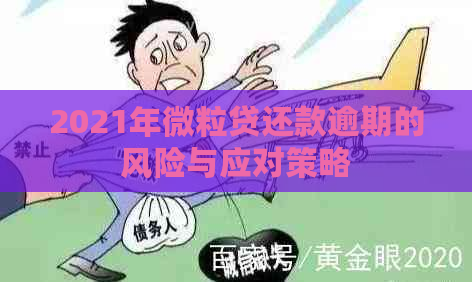 2021年微粒贷还款逾期的风险与应对策略