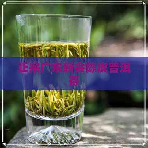 正宗广东新会陈皮普洱茶