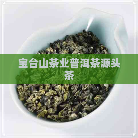 宝台山茶业普洱茶源头茶