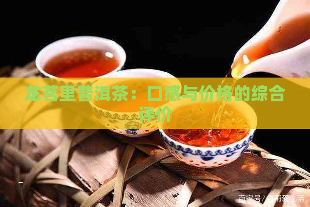 龙茗里普洱茶：口感与价格的综合评价