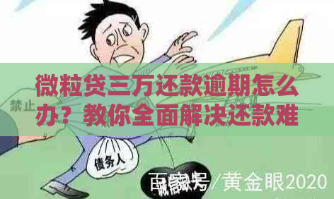 微粒贷三万还款逾期怎么办？教你全面解决还款难题！