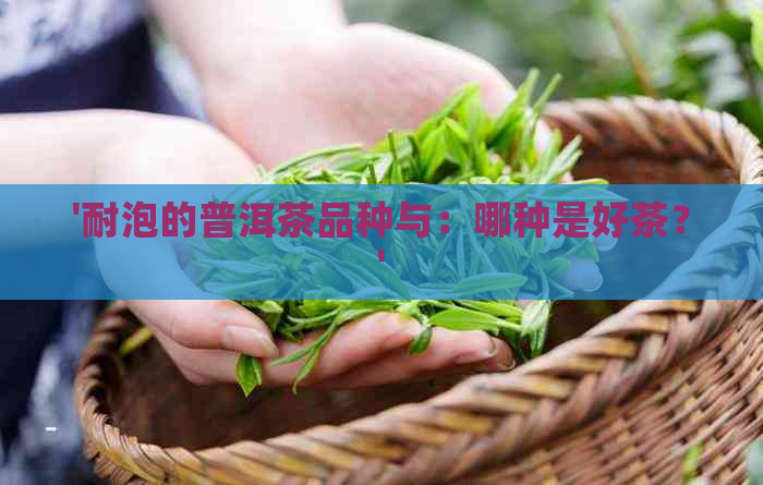 '耐泡的普洱茶品种与：哪种是好茶？'