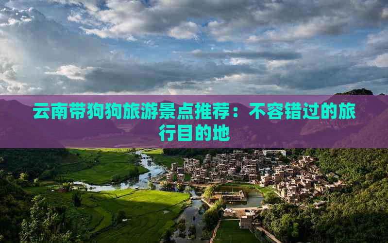 云南带狗狗旅游景点推荐：不容错过的旅行目的地