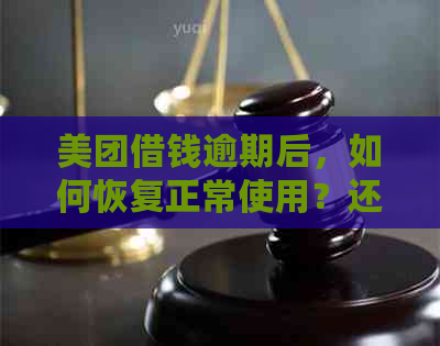 美团借钱逾期后，如何恢复正常使用？还款期限是多久？