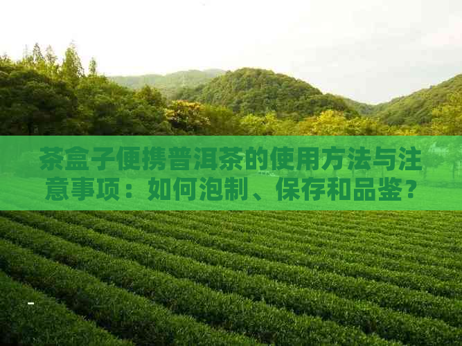 茶盒子便携普洱茶的使用方法与注意事项：如何泡制、保存和品鉴？