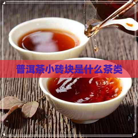 普洱茶小砖块是什么茶类