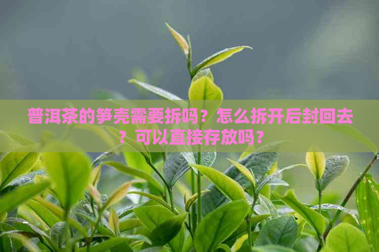 普洱茶的笋壳需要拆吗？怎么拆开后封回去？可以直接存放吗？