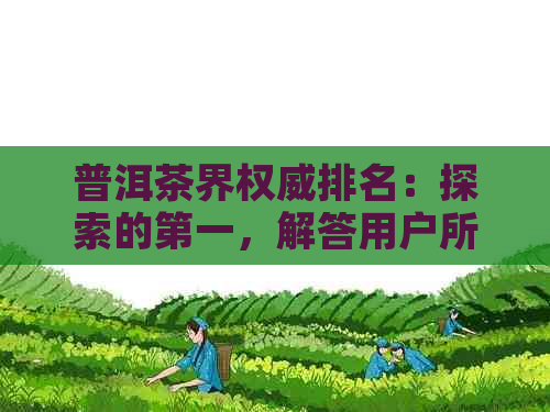 普洱茶界权威排名：探索的之一，解答用户所有疑问