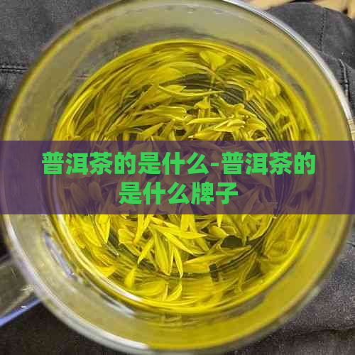 普洱茶的是什么-普洱茶的是什么牌子