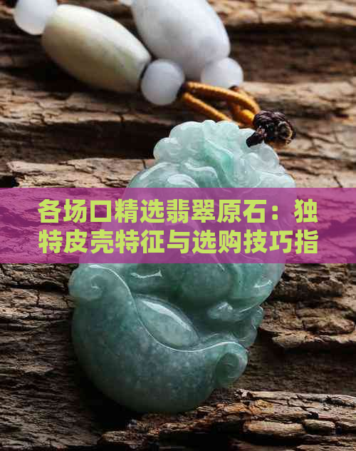 各场口精选翡翠原石：独特皮壳特征与选购技巧指南