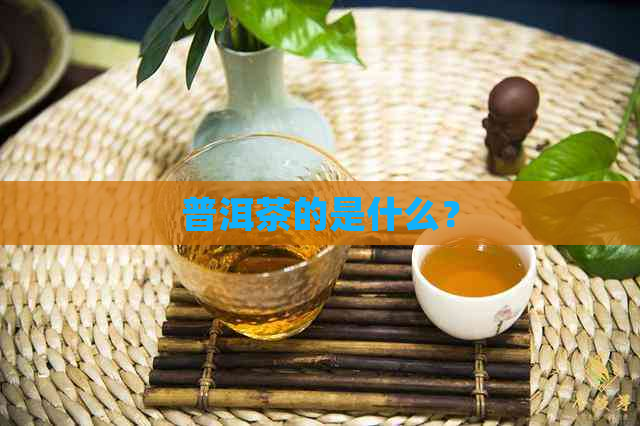 普洱茶的是什么？