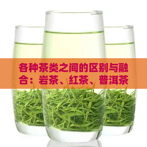 各种茶类之间的区别与融合：岩茶、红茶、普洱茶与白茶的对比分析