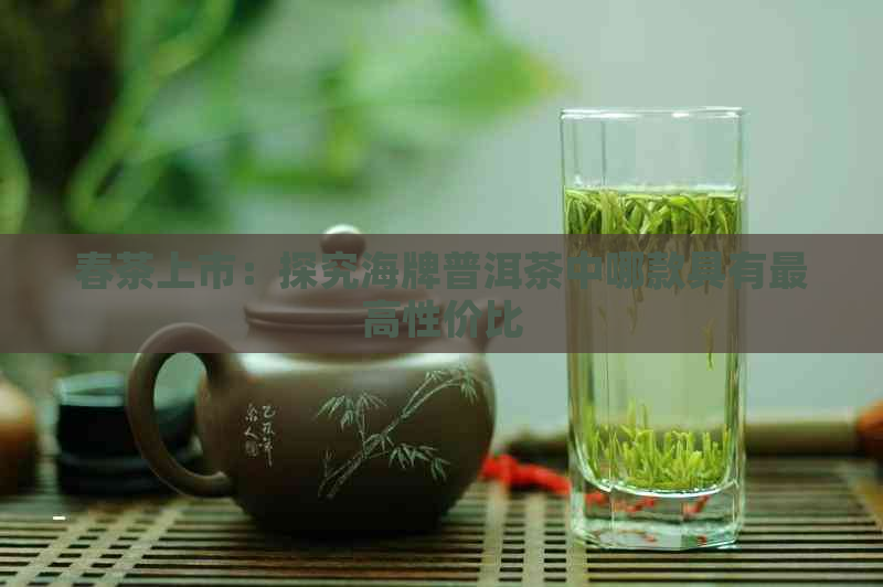 春茶上市：探究海牌普洱茶中哪款具有更高性价比