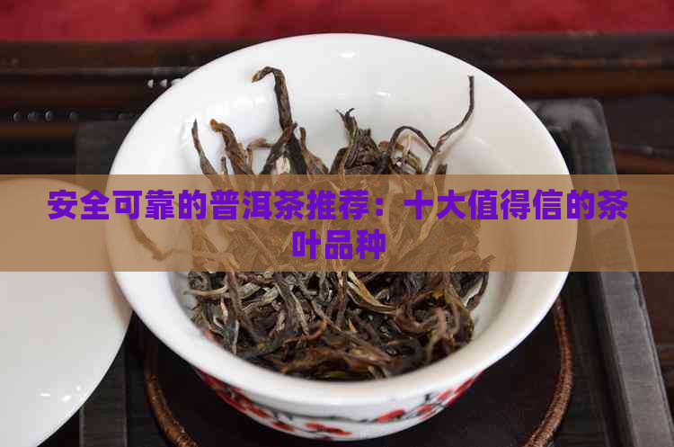 安全可靠的普洱茶推荐：十大值得信的茶叶品种