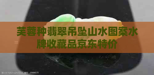 芙蓉种翡翠吊坠山水图案水牌收藏品京东特价