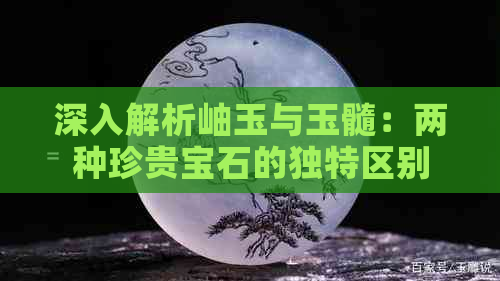 深入解析岫玉与玉髓：两种珍贵宝石的独特区别