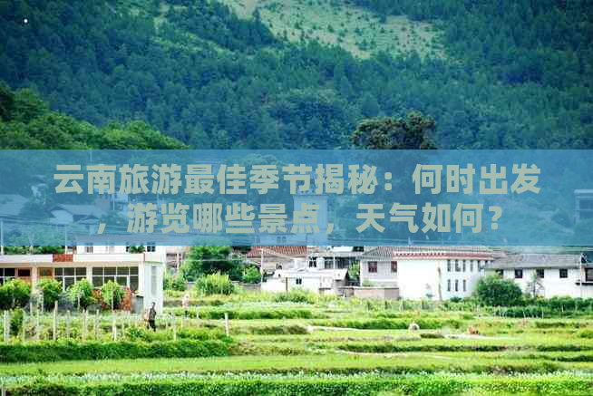 云南旅游更佳季节揭秘：何时出发，游览哪些景点，天气如何？