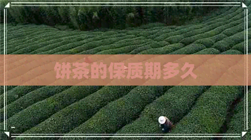 饼茶的保质期多久