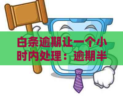 白条逾期让一个小时内处理：逾期半小时、一小时、12小时上吗？