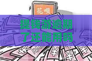 提钱游逾期了还能用吗