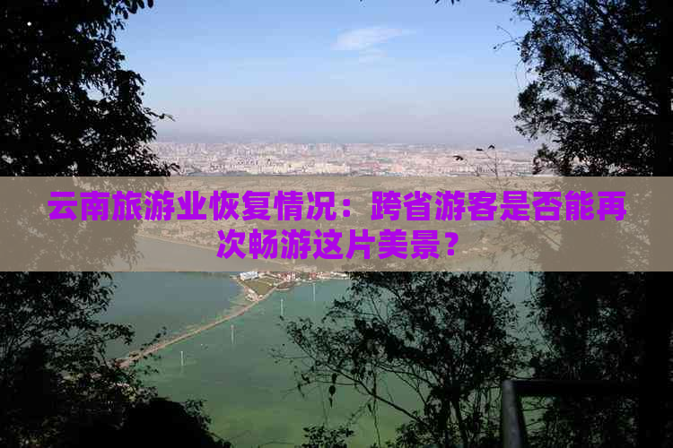 云南旅游业恢复情况：跨省游客是否能再次畅游这片美景？