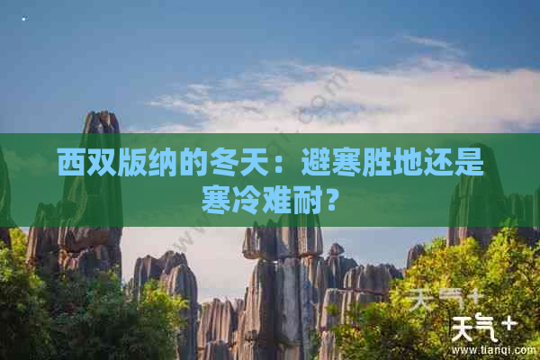 西双版纳的冬天：避寒胜地还是寒冷难耐？