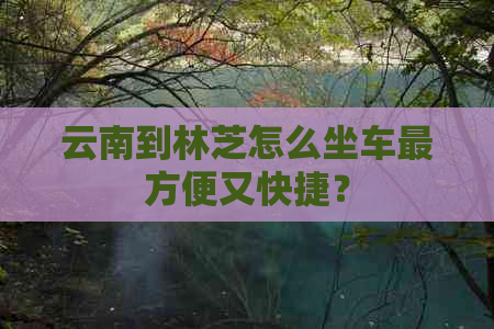 云南到林芝怎么坐车最方便又快捷？