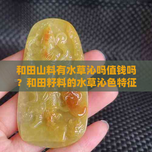 和田山料有水草沁吗值钱吗？和田籽料的水草沁色特征是什么？