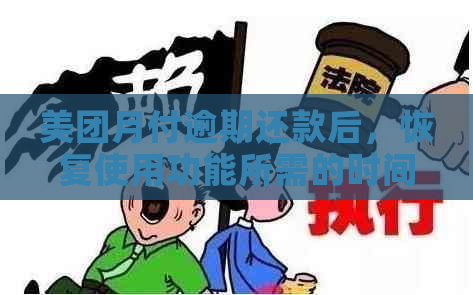 美团月付逾期还款后，恢复使用功能所需的时间以及如何避免逾期问题