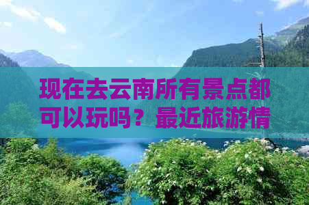 现在去云南所有景点都可以玩吗？最近旅游情况如何？