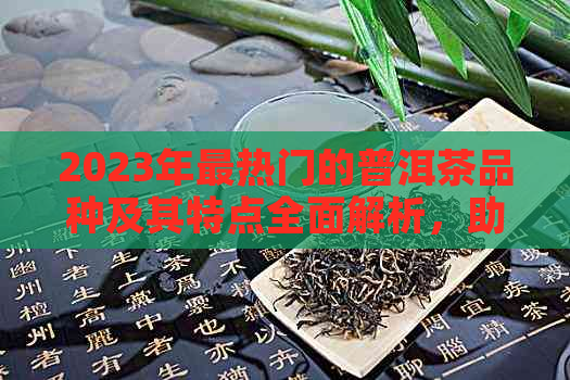 2023年最热门的普洱茶品种及其特点全面解析，助您轻松挑选最适合的普洱茶