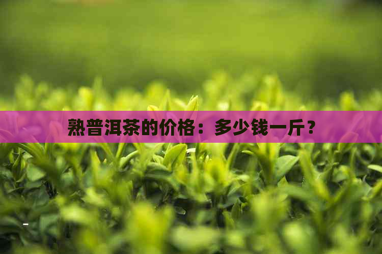 熟普洱茶的价格：多少钱一斤？