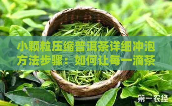 小颗粒压缩普洱茶详细冲泡方法步骤：如何让每一滴茶香都绽放